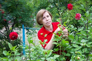 Ландшафтный дизайн